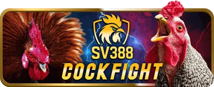 Trải nghiệm người dùng mượt mà pk88 win